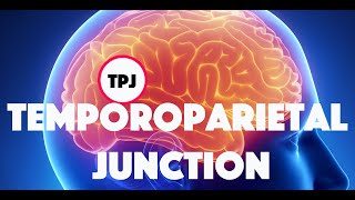 Temporoparietal Junction and Theory of Mind [upl. by Crenshaw]