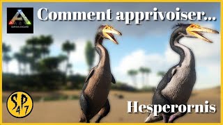 Comment apprivoiser un Hesperornis  Ark survival evolved  TUTO [upl. by Alexandro]