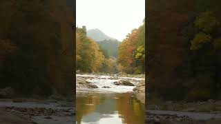 Autumn river sounds autumn river [upl. by Ariada]