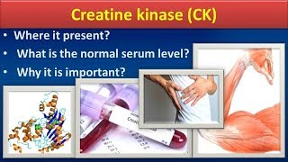 Creatine KinaseCKClear overview [upl. by Yenobe]