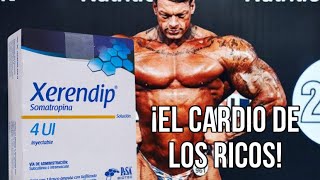 🚨Hormona de crecimiento el cardio de los ricos 🔥 [upl. by Ardnazil]