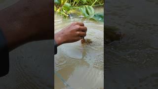 Unique Fishing hand Fishing Challenge Video 😲fishingshortsviralshort [upl. by Ihcekn]