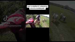 stallion attacking mare on a hack 😱🐴 equestrain shortvideos youtube viral [upl. by Nilrak994]