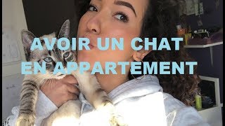 AVOIR UN CHAT EN APPARTEMENT  Havanas Room [upl. by Alit]