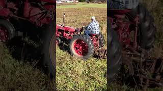 Using a sickle bar mower on a Farmall 230 [upl. by Aggappe]