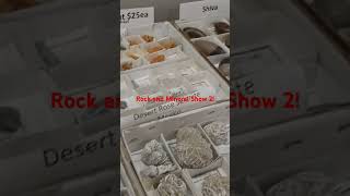 💎⛰️👀 Rock amp Mineral Show Pt2 shorts travel show [upl. by Carolle646]