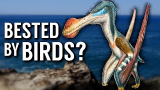 Were Pterosaurs Outcompeted by Birds [upl. by Nesta]