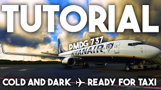 MASTER Every PMDG 737 STARTUP in Under 20 MINUTES  Microsoft Flight Simulator 2020 TUTORIAL [upl. by Annavoig622]