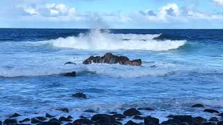 Laupahoehoe Point Beach Park 3 of 4  Island Horizon Videos 1314 [upl. by Atiuqaj]