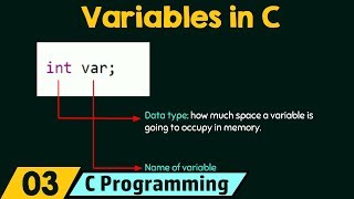 Introduction to Variables [upl. by Ahsennod]