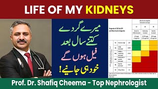 What is Life of my Kidneys  ckd egfr proteinuria drshafiqcheema [upl. by Immac334]