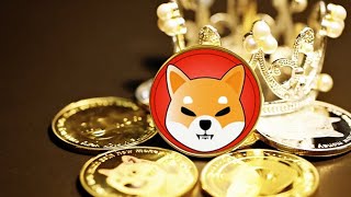 SHIBA INUS SIGNIFICANT INCREASE WILL SHOCK YOU shibainu crypto PROHETICDREAM wealthtransfer [upl. by Enimasaj616]