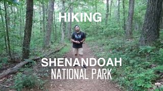 Shenandoah National Park Virginia Hiking Vlog [upl. by Pippy]