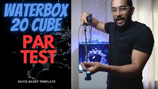 Waterbox 20 cube PAR testing reeftank partest aquarium [upl. by Awjan]