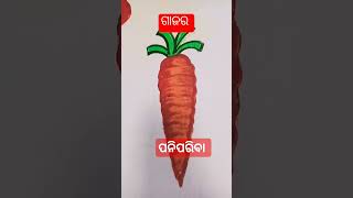 different kinds of vegetables name in odia panipariba nama odia vegitables name in odia [upl. by Junno]