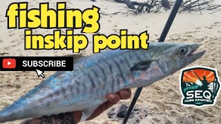 inskip point fishing [upl. by Phio]