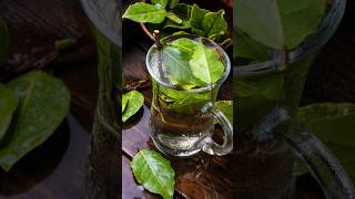 Benefits of Bay Leaf Tea [upl. by Benedetto]