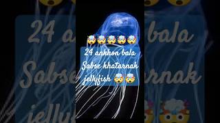 24 ankho bala sabse khatarnak jellyfish 🤯🤯ytshorts shorts factsmine mustafa knowledge trending [upl. by Hahcim]