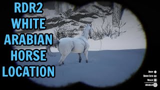 RDR2 WHITE ARABIAN HORSE LOCATION [upl. by Ramah372]