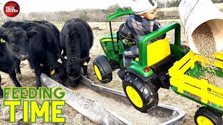 1 Year Old Feeding Cows on the Farm  John Deere Tractor [upl. by Annovy83]