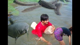 WowKhmerNet Fishing by hand  How To Catch Fish at battambang in cambodia part016 [upl. by Ahsiekim]