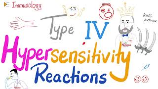 Type IV Hypersensitivity Reaction HSNIV  Let’s make a Granuloma  Immunology [upl. by Bullock]