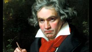 Ludwig Van Beethovens 5th Symphony in C Minor Full [upl. by Iramo]