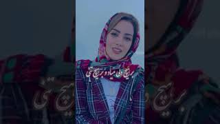 شعر بسیار ناب و زیبای فارسی [upl. by Kcirdneked363]