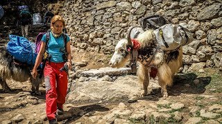 🇳🇵 Trekking EBC Dzień 2 PhakdingNamche Bazar [upl. by Kidder]