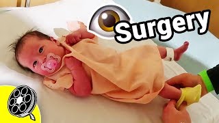 Eye Surgery at 4 Weeks Old 🏥 [upl. by Fachanan508]