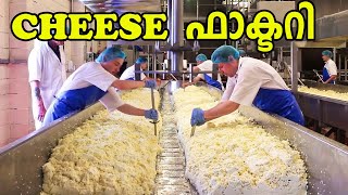 Toblerone amp Cheese Factory  അടിപൊളി ഫാക്ടറി വീഡിയോ  Tell Me Why Malayalam [upl. by Helbona]