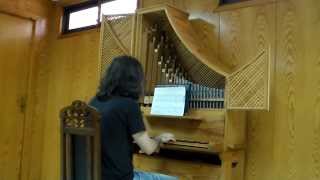 J S Bach Choral BWV 691 Organ [upl. by Mavilia899]