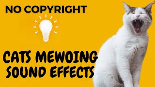 Cat Meow Sound Effects  No Copyright Sounds [upl. by Akiemehs170]