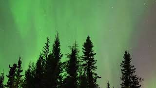 Aurora Northern Lights Canada [upl. by Philan202]