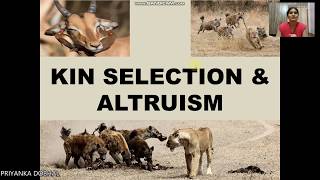 KIN SELECTION amp ALTRUISM [upl. by Norrie]