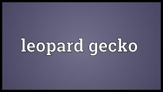 Leopard gecko Meaning [upl. by Gibb]