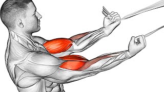 The Best Biceps Exercises No WeightAt Home [upl. by Koch]