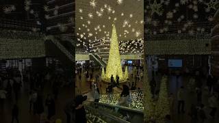 starfield southkorea chirstmastree 241117 [upl. by Arissa]