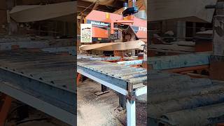 Wood for home depot lumber lumberjack woodmizer logosol norwood youtubeshorts video ytshorts [upl. by Saeger]