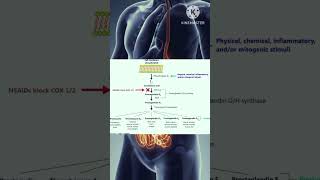 farmasi science Mekanisme kerja obat [upl. by Erdried286]