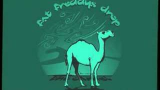 Fat Freddys Drop  The Camel [upl. by Brittni505]