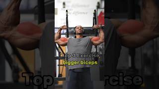 Bigger Biceps Workout  3 Effective Exercises [upl. by Yolande]