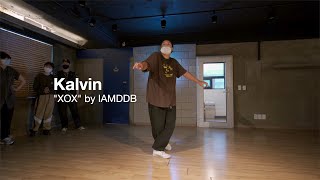 IAMDDB  XOX  Kalvin Choreography [upl. by Tocci]