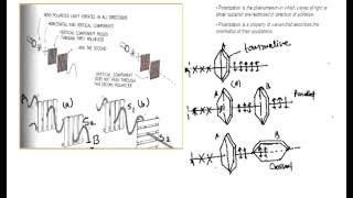 Introduction to Polarization Theory of Polarization Polarization of light [upl. by Ellerey]