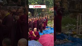 Tibetan Buddhist monks are chanting by standing [upl. by Ecylahs]