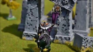 Warhammer Dark Elves Cold One Knights Miniatures [upl. by Anaeli264]