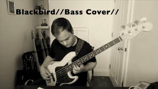 Blackbird  Jaco Pastorius  bass cover [upl. by Borszcz682]