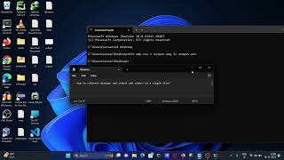 How to redirect Windows CMD stdout and stderr to Single File [upl. by Lupee]