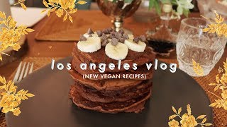 LA Vlog • Trying New Vegan Recipes [upl. by Hannah85]