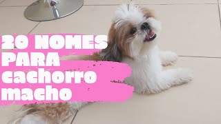 20 Nomes para cachorros macho [upl. by Aseral]